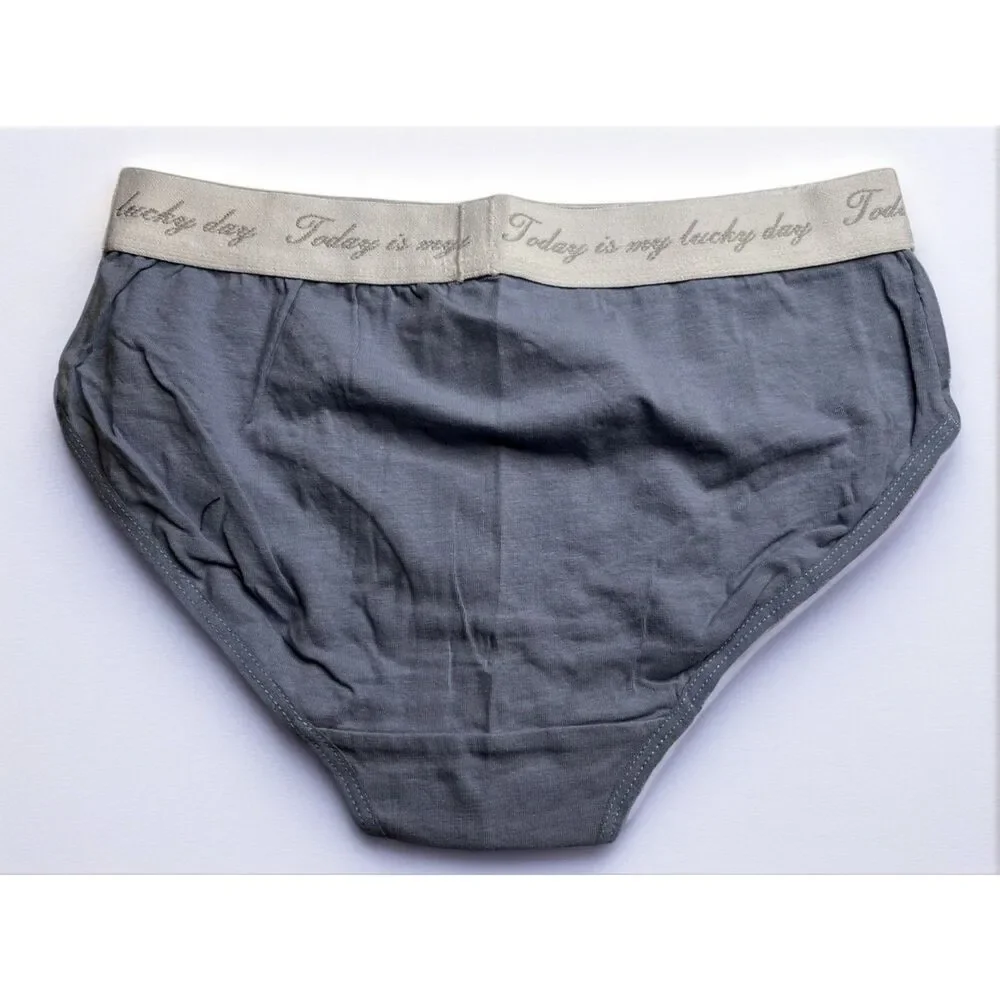 New Bikini Brief Today is Your Lucky Day Small Panties Underwear NWOT Blue Grey